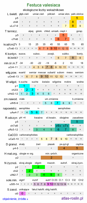 ekologiczne liczby wskaźnikowe Festuca valesiaca (kostrzewa walezyjska)