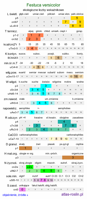 ekologiczne liczby wskaźnikowe Festuca versicolor (kostrzewa pstra)