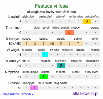 ekologiczne liczby wskaźnikowe Festuca villosa (kostrzewa kosmata)