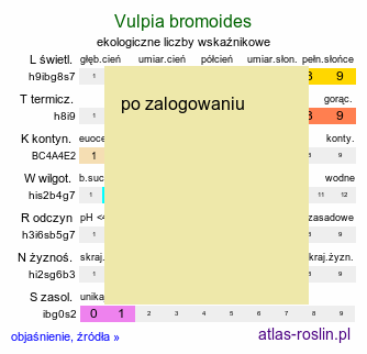 ekologiczne liczby wskaźnikowe Vulpia bromoides (wulpia stokłosowata)