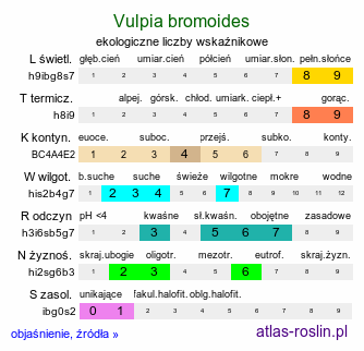 ekologiczne liczby wskaźnikowe Vulpia bromoides (wulpia stokłosowata)