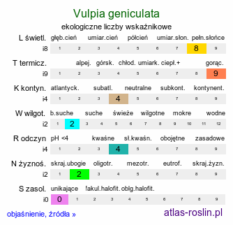 ekologiczne liczby wskaźnikowe Vulpia geniculata (wulpia kolankowata)