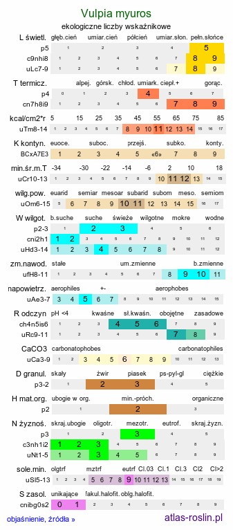 ekologiczne liczby wskaźnikowe Vulpia myuros (wulpia mysi ogon)