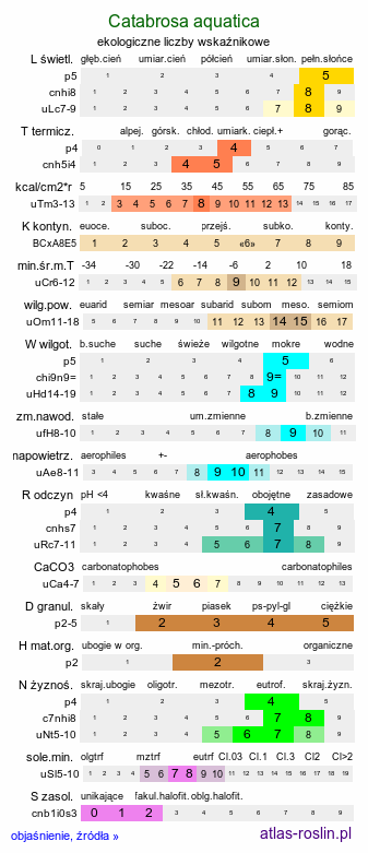 ekologiczne liczby wskaźnikowe Catabrosa aquatica (brodobrzanka wodna)