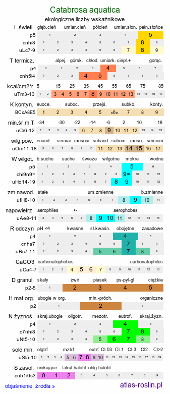 ekologiczne liczby wskaźnikowe Catabrosa aquatica (brodobrzanka wodna)