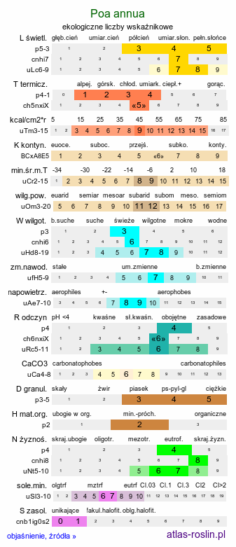 ekologiczne liczby wskaźnikowe Poa annua (wiechlina roczna)
