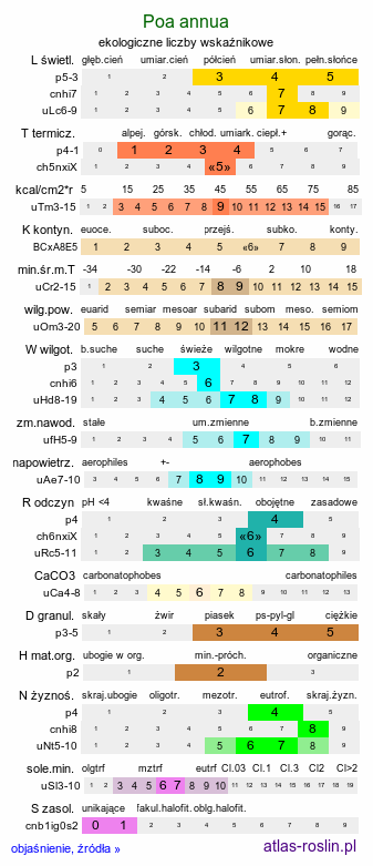 ekologiczne liczby wskaźnikowe Poa annua (wiechlina roczna)