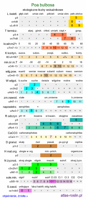 ekologiczne liczby wskaźnikowe Poa bulbosa (wiechlina cebulkowata)