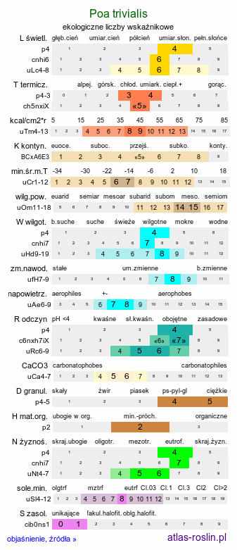 ekologiczne liczby wskaźnikowe Poa trivialis (wiechlina zwyczajna)