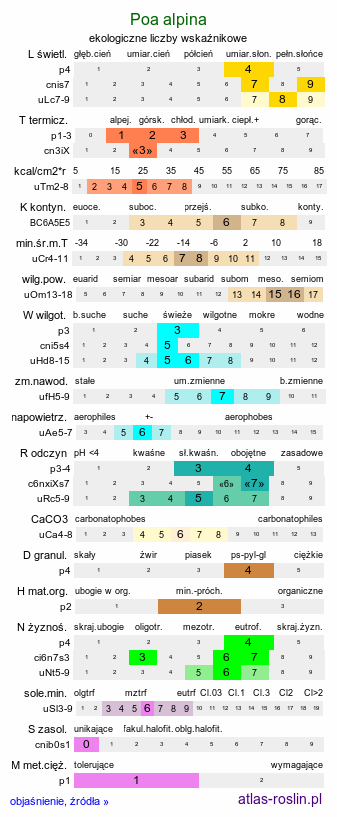 ekologiczne liczby wskaźnikowe Poa alpina (wiechlina alpejska)