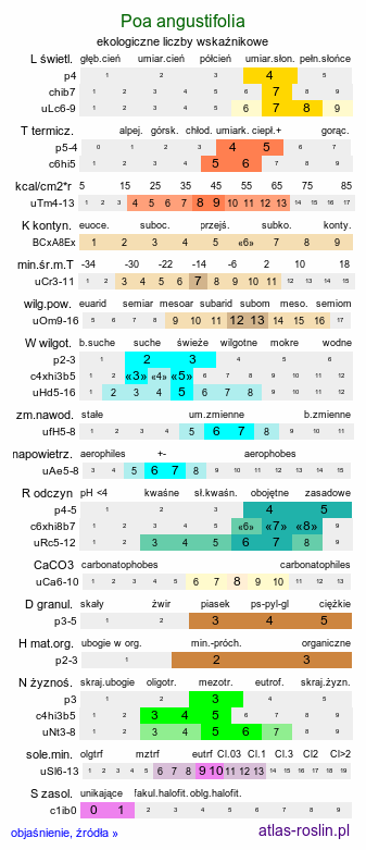ekologiczne liczby wskaźnikowe Poa angustifolia (wiechlina wąskolistna)