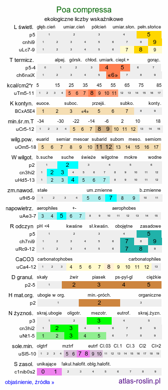 ekologiczne liczby wskaźnikowe Poa compressa (wiechlina spłaszczona)