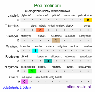 ekologiczne liczby wskaźnikowe Poa molinerii (wiechlina Molineriego)