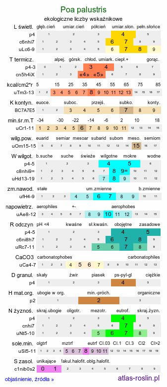 ekologiczne liczby wskaźnikowe Poa palustris (wiechlina błotna)