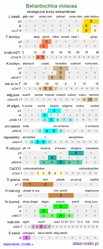 ekologiczne liczby wskaźnikowe Bellardiochloa violacea (wiechlinostrzewa fioletowa)