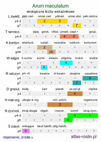 ekologiczne liczby wskaźnikowe Arum maculatum (obrazki plamiste)