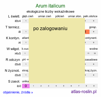 ekologiczne liczby wskaźnikowe Arum italicum (obrazki włoskie)