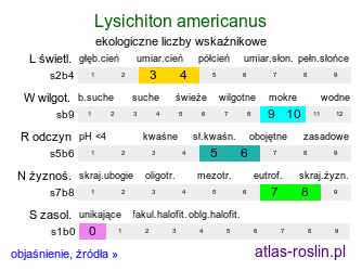 ekologiczne liczby wskaźnikowe Lysichiton americanus (tulejnik amerykański)