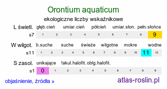 ekologiczne liczby wskaźnikowe Orontium aquaticum (oroncium wodne)