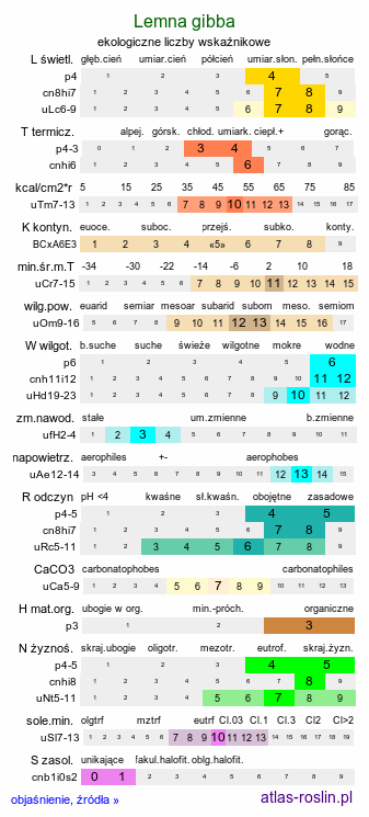 ekologiczne liczby wskaźnikowe Lemna gibba (rzęsa garbata)