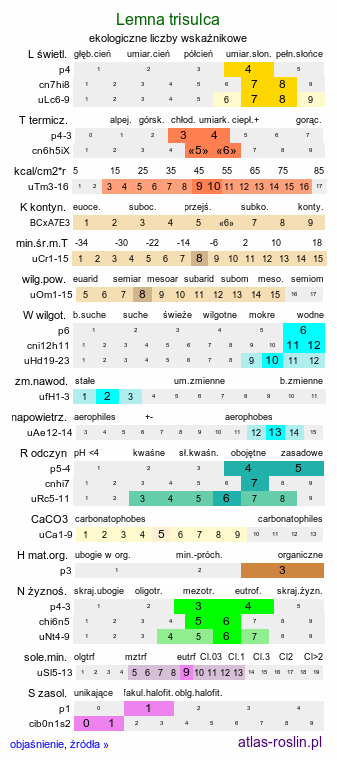 ekologiczne liczby wskaźnikowe Lemna trisulca (rzęsa trójrowkowa)