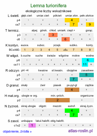 ekologiczne liczby wskaźnikowe Lemna turionifera (rzęsa turionowa)