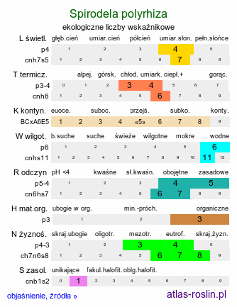 ekologiczne liczby wskaźnikowe Spirodela polyrhiza (spirodela wielokorzeniowa)