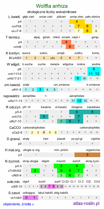 ekologiczne liczby wskaźnikowe Wolffia arrhiza (wolffia bezkorzeniowa)