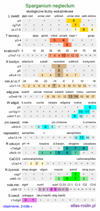 ekologiczne liczby wskaźnikowe Sparganium neglectum (jeżogłówka zapoznana)