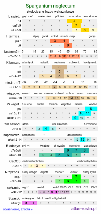 ekologiczne liczby wskaźnikowe Sparganium neglectum (jeżogłówka zapoznana)