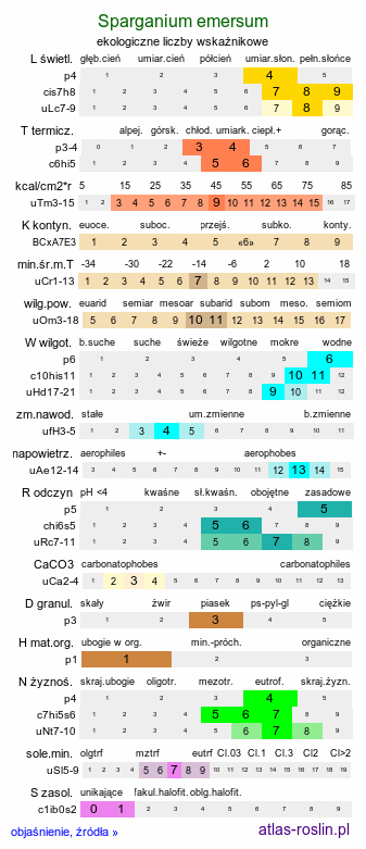 ekologiczne liczby wskaźnikowe Sparganium emersum (jeżogłówka pojedyncza)