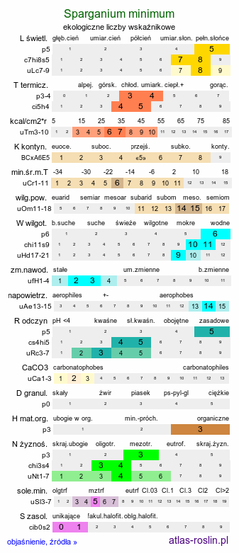 ekologiczne liczby wskaźnikowe Sparganium minimum (jeżogłówka najmniejsza)