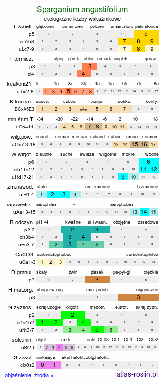 ekologiczne liczby wskaźnikowe Sparganium angustifolium (jeżogłówka pokrewna)