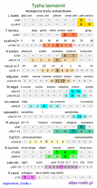 ekologiczne liczby wskaźnikowe Typha laxmannii (pałka wysmukła)