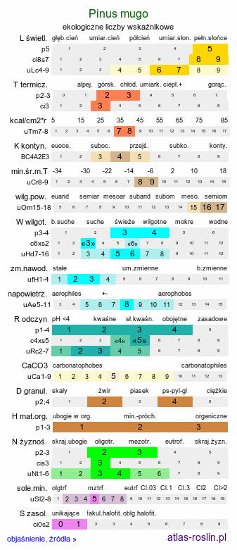 ekologiczne liczby wskaźnikowe Pinus mugo (sosna górska)