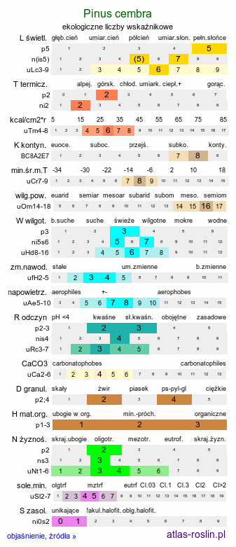 ekologiczne liczby wskaźnikowe Pinus cembra (sosna limba)