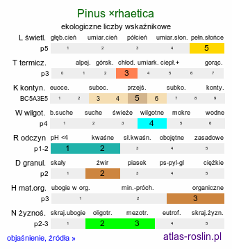 ekologiczne liczby wskaźnikowe Pinus rotundata (sosna błotna)