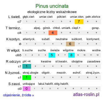 ekologiczne liczby wskaźnikowe Pinus uncinata (sosna hakowata)