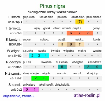 ekologiczne liczby wskaźnikowe Pinus nigra (sosna czarna)