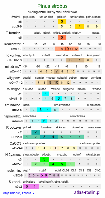ekologiczne liczby wskaźnikowe Pinus strobus (sosna amerykańska)