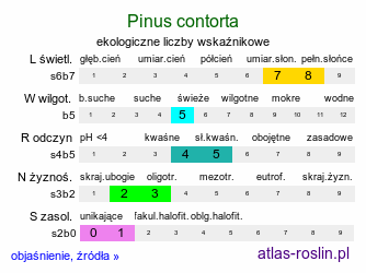 ekologiczne liczby wskaźnikowe Pinus contorta (sosna wydmowa)