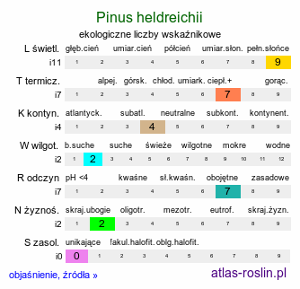 ekologiczne liczby wskaźnikowe Pinus heldreichii (sosna dalmatyńska)