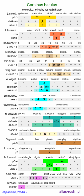 ekologiczne liczby wskaźnikowe Carpinus betulus (grab pospolity)