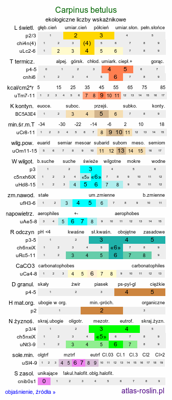 ekologiczne liczby wskaźnikowe Carpinus betulus (grab pospolity)