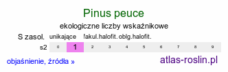 ekologiczne liczby wskaźnikowe Pinus peuce (sosna rumelijska)