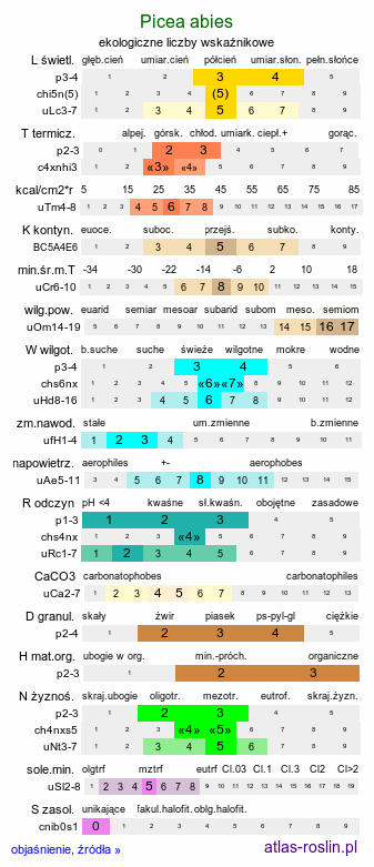 ekologiczne liczby wskaźnikowe Picea abies (świerk pospolity)