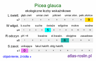 ekologiczne liczby wskaźnikowe Picea glauca (świerk biały)