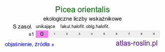 ekologiczne liczby wskaźnikowe Picea orientalis (świerk kaukaski)