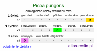 ekologiczne liczby wskaźnikowe Picea pungens (świerk kłujący)