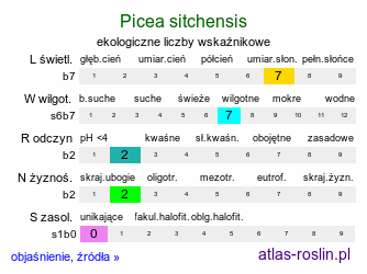 ekologiczne liczby wskaźnikowe Picea sitchensis (świerk sitkajski)